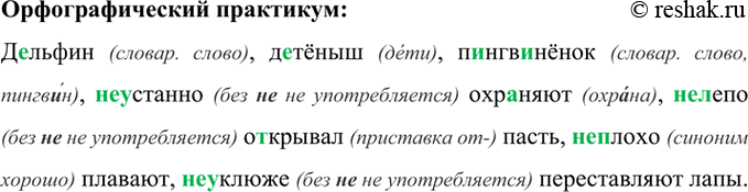 Изображение Орфографический практикум 30 ГДЗ Рыбченкова Александрова 7 класс